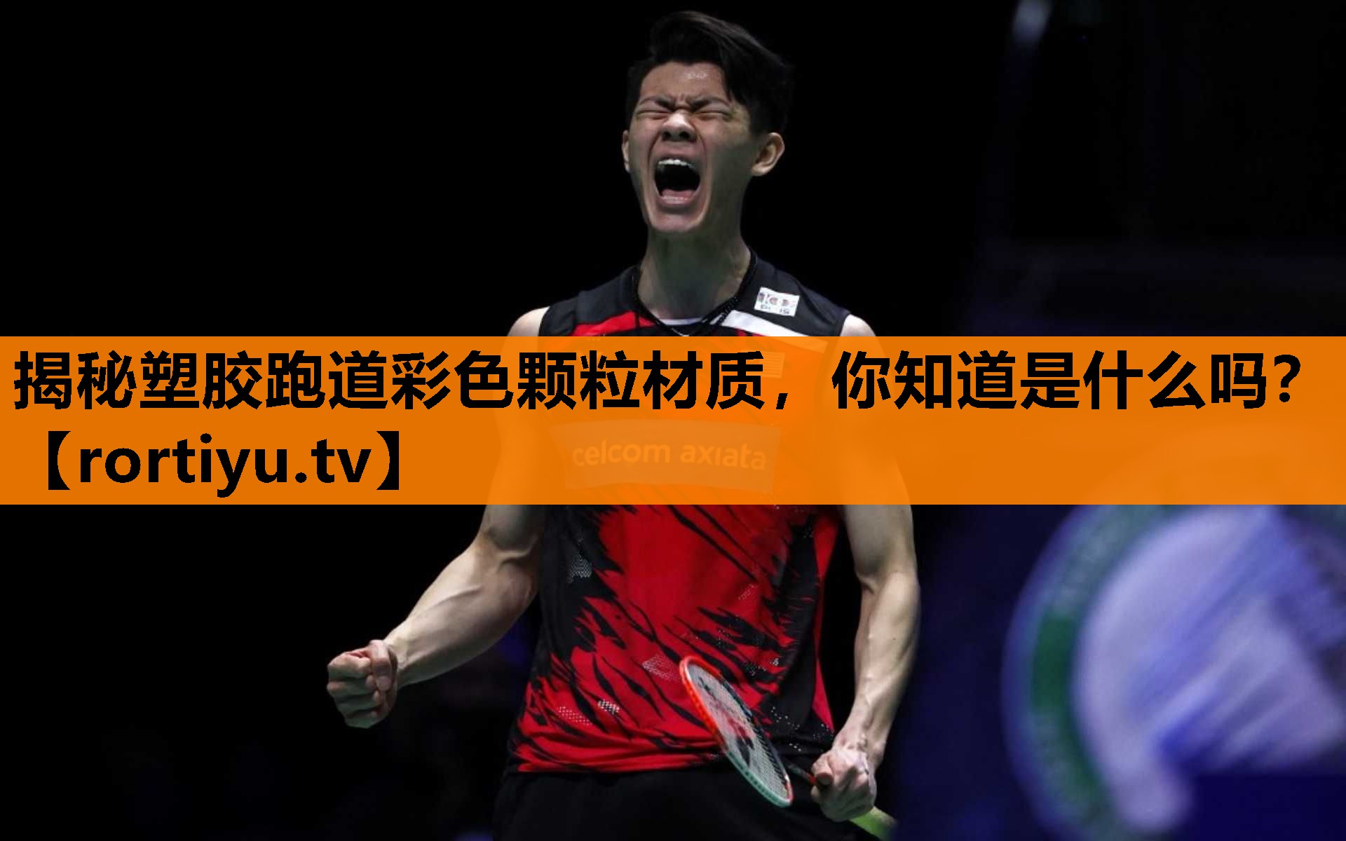 揭秘塑胶跑道彩色颗粒材质，你知道是什么吗？